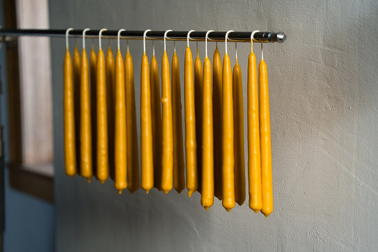 Beeswax Candles
